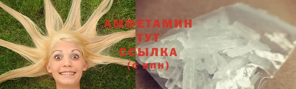 ГАЛЛЮЦИНОГЕННЫЕ ГРИБЫ Лиски
