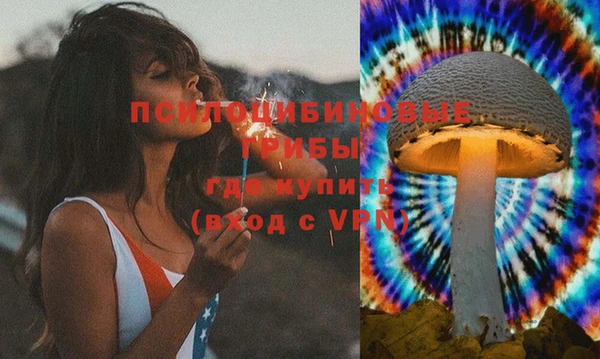 марки lsd Богородицк