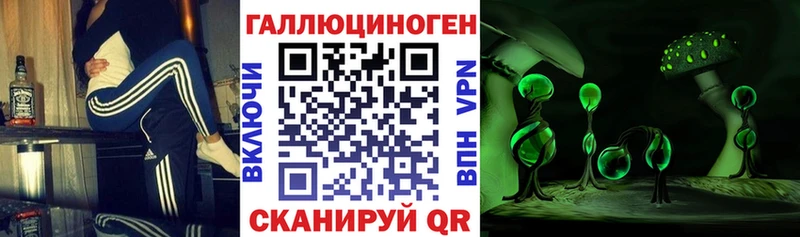 Галлюциногенные грибы Psilocybine cubensis  закладки  Горячий Ключ 